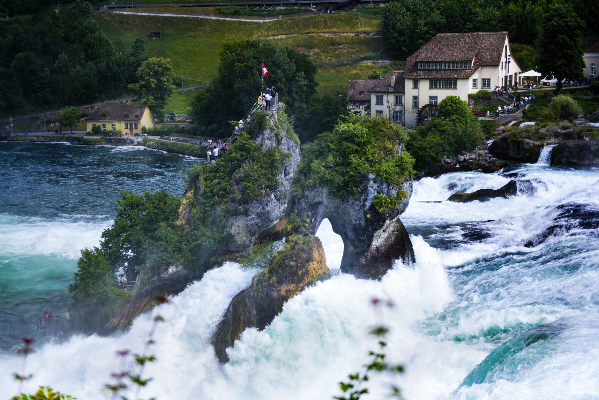 rhine falls and black forest tour from zurich